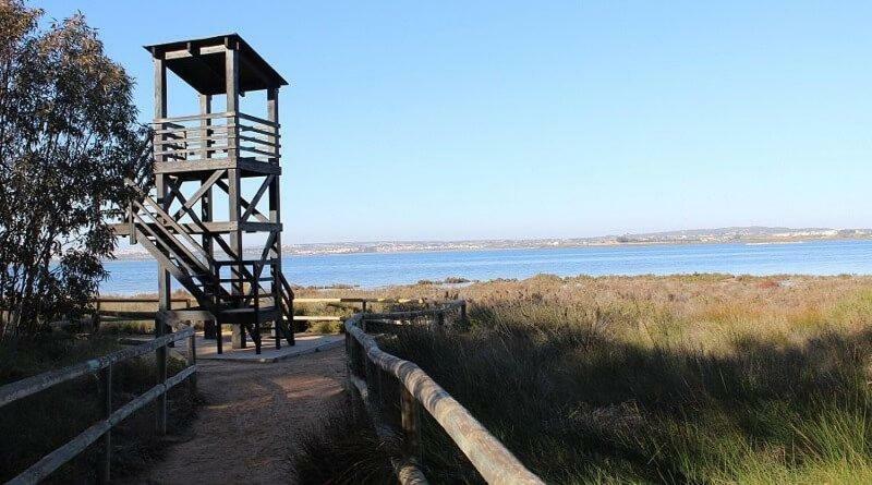 Apartamento Vistas La Mata Playa Exteriör bild
